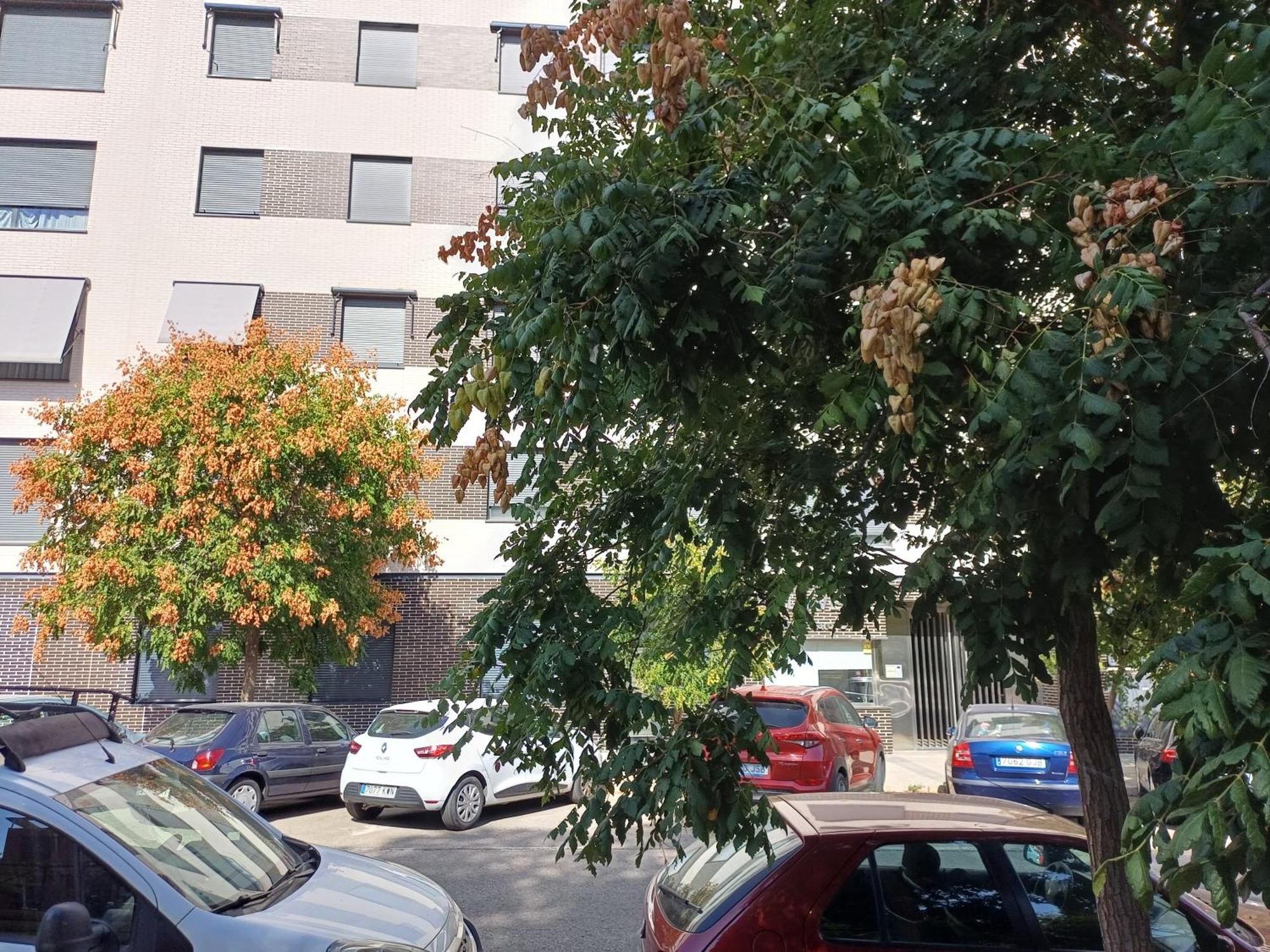 Estudios Nuevos Madrid Centro Zewnętrze zdjęcie