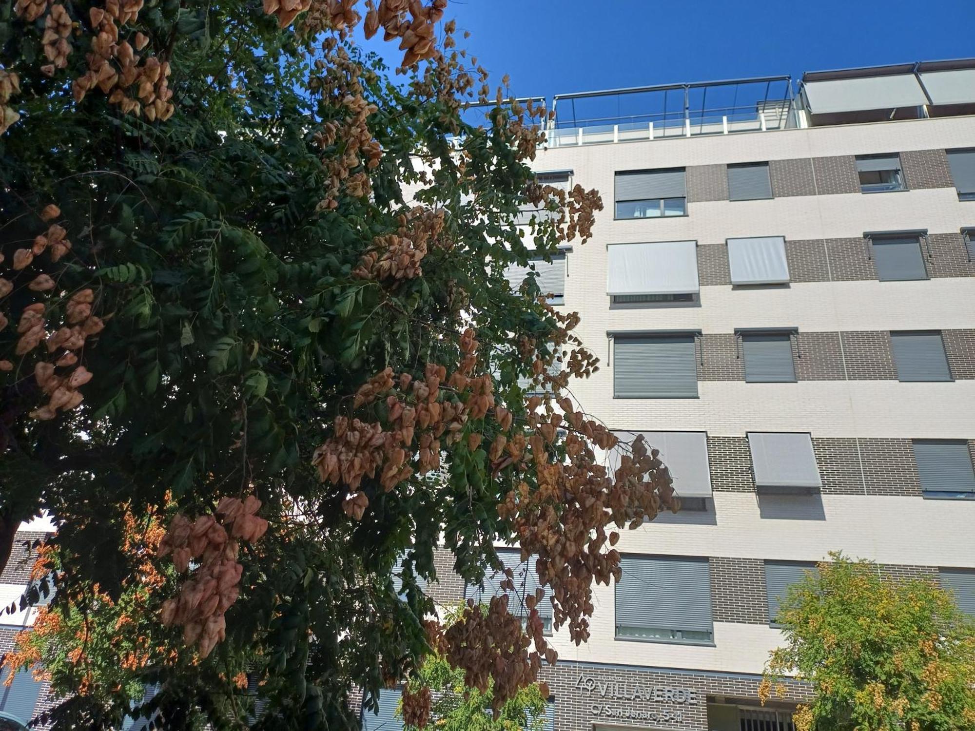 Estudios Nuevos Madrid Centro Zewnętrze zdjęcie